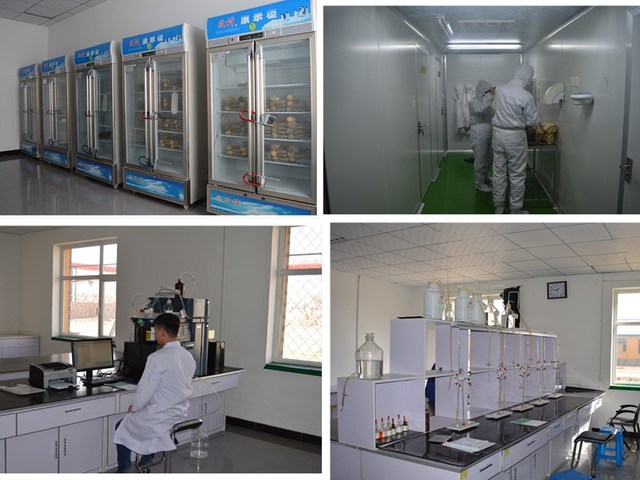 ABUIABACGAAg1bvBuQUowuqwwQcwgAg4gAY